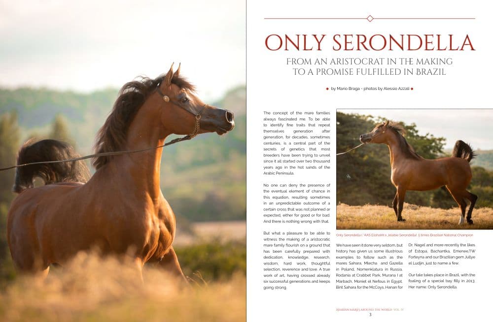 Only Serondella — article cover