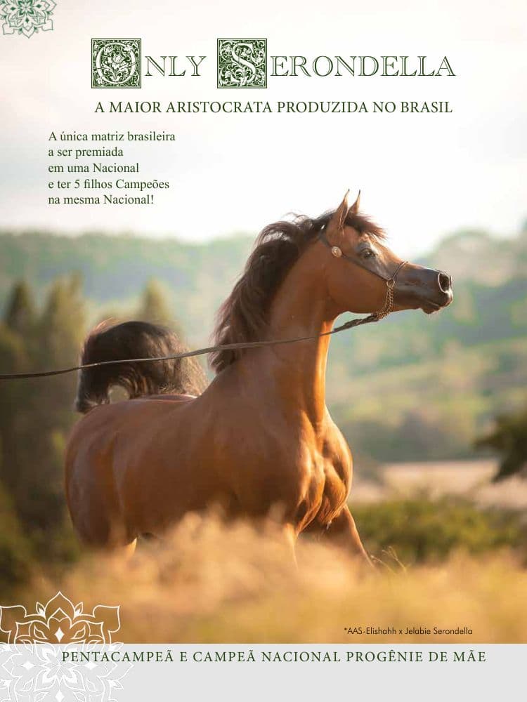 Only Serondella — Pentacampeã — article cover